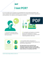 Qué Es El Test PCR