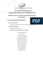 Formato Informe Final Dsi