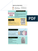 Endodoncia.pdf