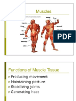 Muscle Physio PDF