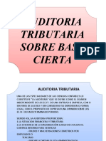 BASE CIERTA-AUDITORIA TRIBUTARIA 2020 (1)