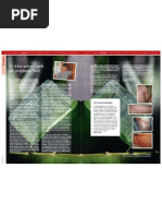 O Aloe salva a pele do pequeno Ned