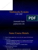 Multimedia Systems: CSE 228F