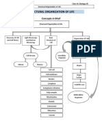 Structural Organization of Life Chapter Summary