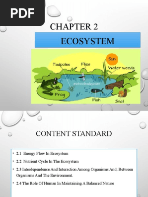 Form 2 Chapter 2 Ecosystem Pdf Food Web Ecosystem