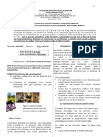 Guía Nutrición - Grados 7° PDF