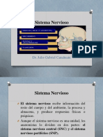 Sistema Nervioso Digital PDF
