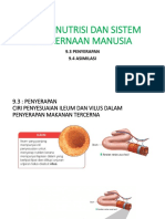 Bab 9: Nutrisi Dan Sistem Pencernaan Manusia: 9.3 Penyerapan 9.4 Asimilasi