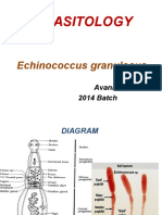 Parasitology: Echinococcus Granulosus