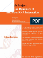 Research Project:: Molecular Dynamics of Mirna-Mrna Interaction