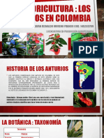 Anturios en Colombia PDF