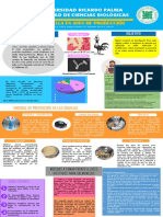 Poster-De-La-Salmonella Final PDF