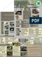 TRÁFICO ILEGAL DE REPTILES.pdf