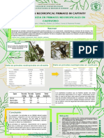  Diet Models In Neotropical Primates In Captivity