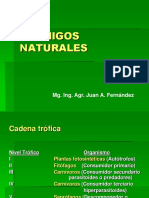 ENEMIGOS NATURALES. Mg. Ing. Agr. Juan A. Fernández