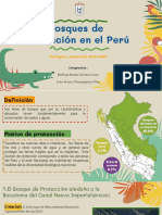 Bosques de Protección PDF