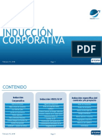 Induccion MASA - STORK V2 2018 PDF