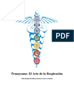 Pranayama: El Arte de la Respiración Consciente