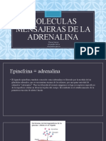 Moleculas Mensajeras de La Adrenalina