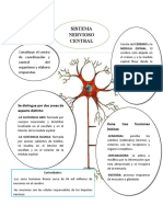 Mapa Mental Sistema Nervioso