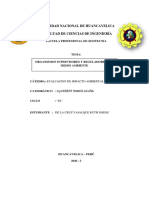 Organismos Supervisores PDF