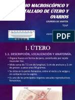 8 Tallado útero y ovarios.pdf