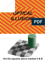 Optical Illusions