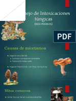 Intoxicaciones Version Micelio PDF