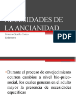 Necesidades de La Ancianidad