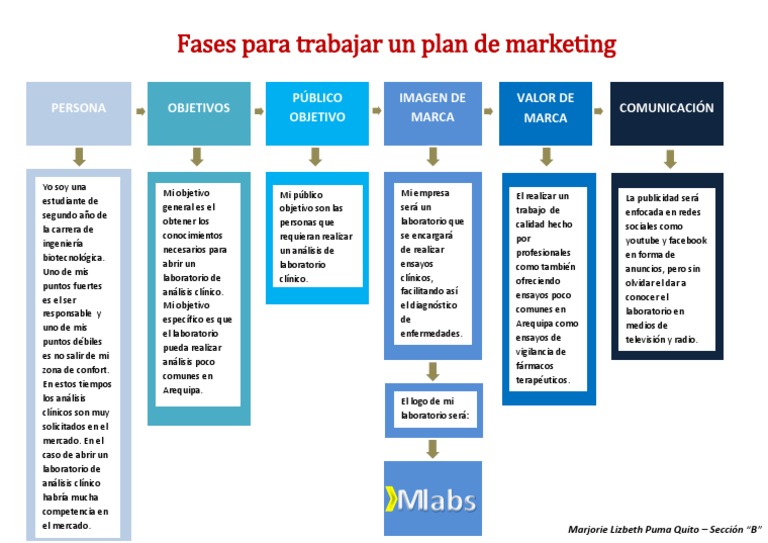 Fases para Trabajar Un Plan de Marketing PDF | PDF | Laboratorios ...