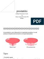 prostatitis.pptx