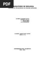 Suelos Humíferos - Características, Tipos y Animales - Lifeder PDF ...