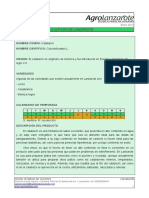 Cultivo Calabacin Casero PDF