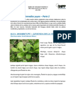 Guarani - Remedios Yuyos - Parte 2 2016 PDF