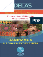 educacionbilingueintercultural.pdf