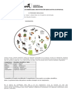 Taller de Taxonomía