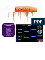 Para La Clasificación de PROTOZOOS Basado en La Forma de Locomoción