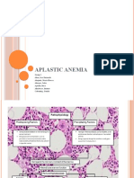 Aplastic Anemia