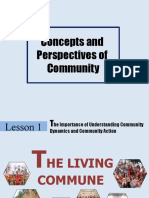 Concepts and Perspectives of Community