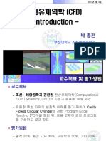 CFD1 Introduction PDF