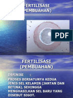 05-Fertilisasi