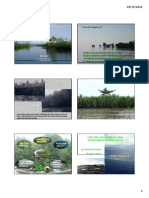 Ekologi-Mangrove Printed