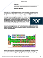 Absorption of Minerals.pdf