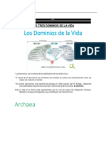 Los Dominios de La Vida: Archaea