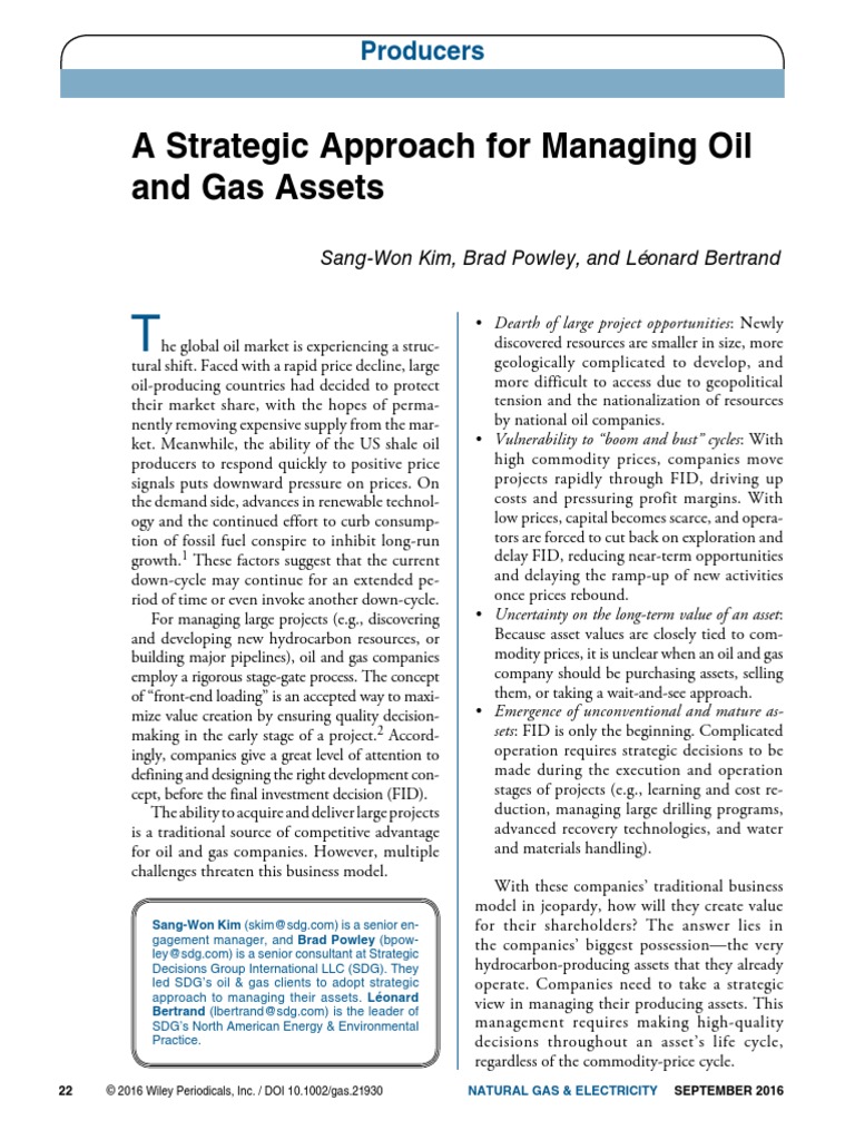 Strategic Approach Oil Gas PDF | PDF | Petroleum Reservoir | Investment ...