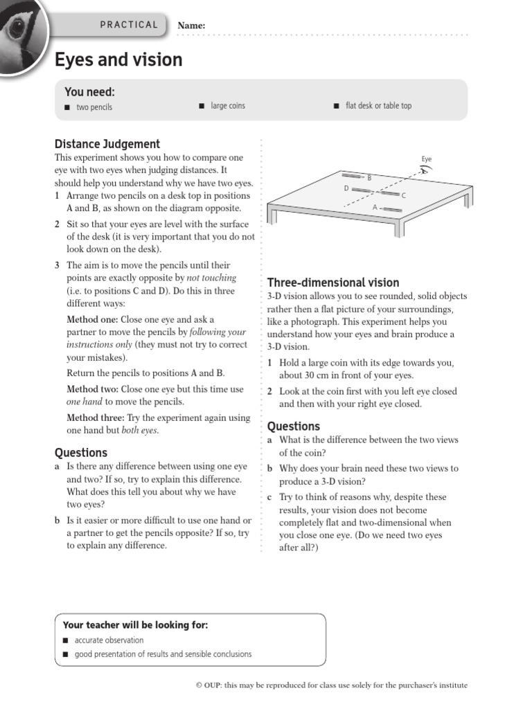 Eye and Vision PDF | PDF | Visual Perception | Cognitive Science