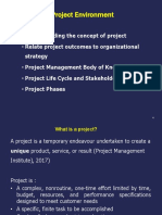 The Project Environment