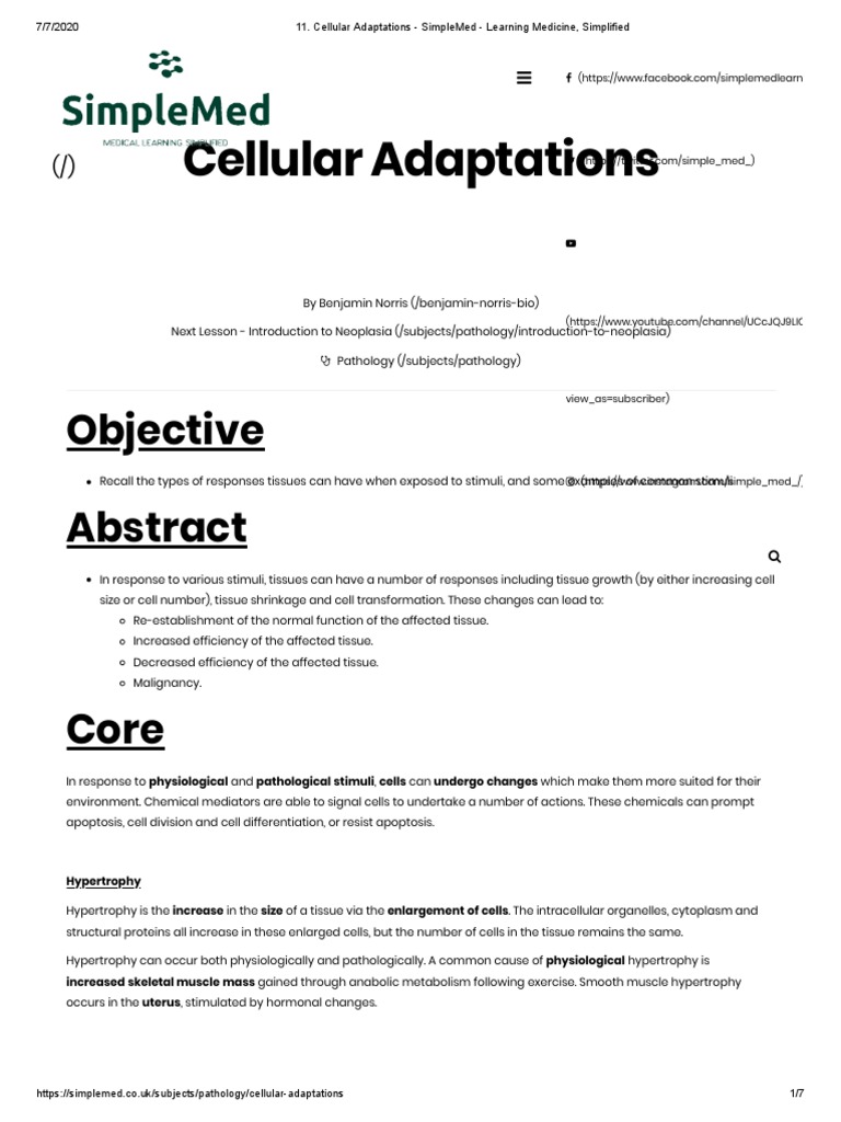 05 - Cellular Adaptations - SimpleMed - Learning Medicine, Simplified ...
