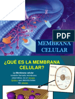 Membranacelular 121008172041 Phpapp02