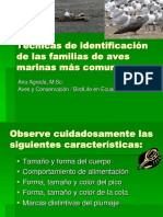 Aves Marinas Ana Agreda PDF